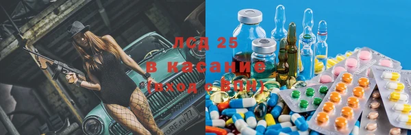 стафф Вязьма