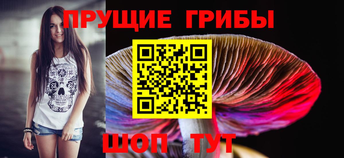 Псилоцибиновые грибы Magic Shrooms Георгиевск