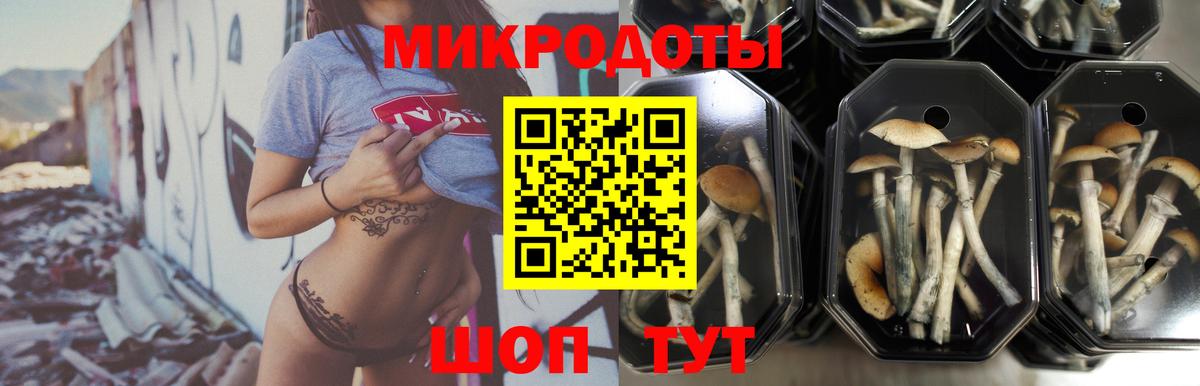 Георгиевск  Галлюциногенные грибы MAGIC MUSHROOMS  Вход с VPN 